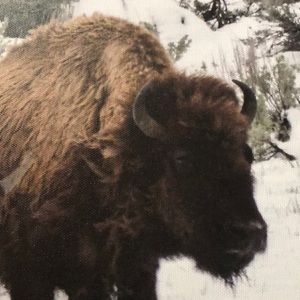 Meet your Posher, Andy